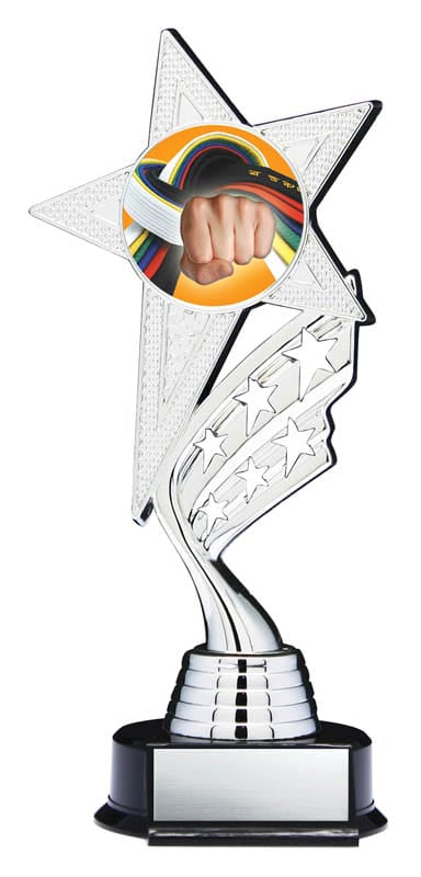 Helix Series Martial Arts Trophy with Stars, 8 1/2