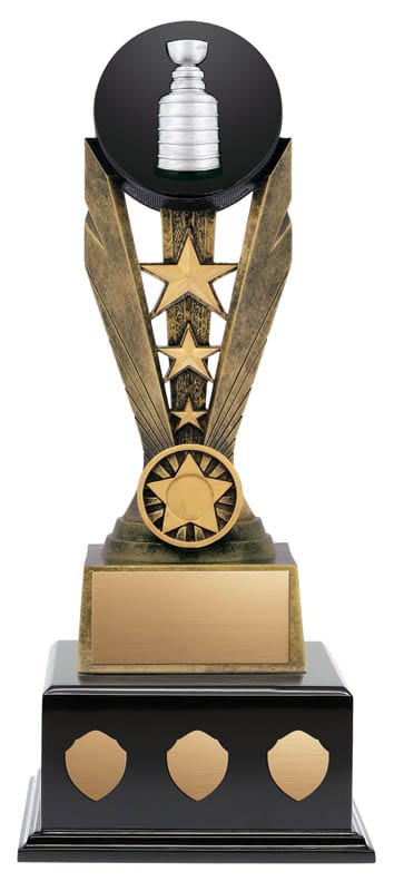 Hockey Zenith Resin on Black Wood Base 17 1/2