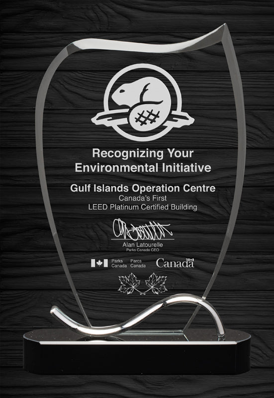 Copy Of Glass Award Amazon Glass A3707
