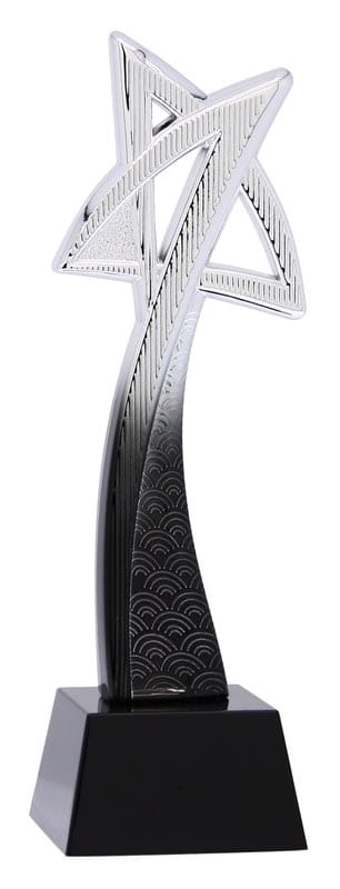 Meridian Star Fusion Black/Bright Silver Resin Award 10 1/4