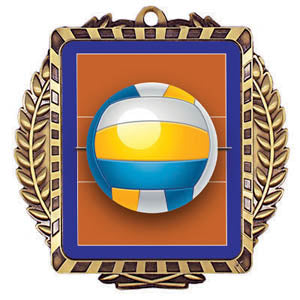 Lynx II Sport Medal – Volleyball – main view