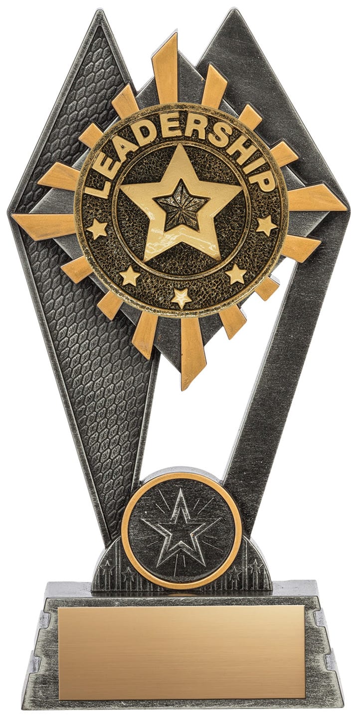 Peak Series Leadership Resin Trophy, 7