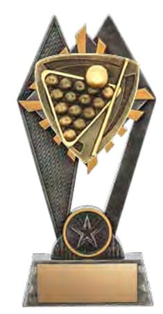 Pinnacle Billiards Award 7