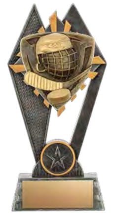 Pinnacle Hockey Award 7