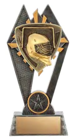 Pinnacle Hockey Goalie Award 7