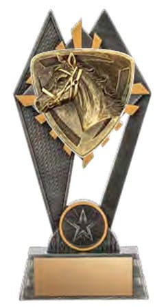 Pinnacle Horse Award 7