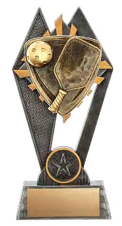Pinnacle Pickleball Award 7