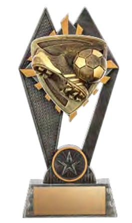 Pinnacle Soccer Award 7