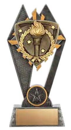Pinnacle Victory Award 7