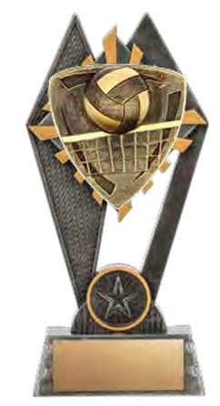 Pinnacle Volleyball Award 7