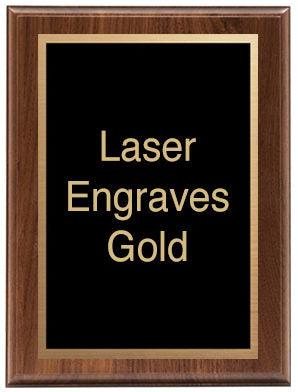 Laser Series Plaque with Plate, 5