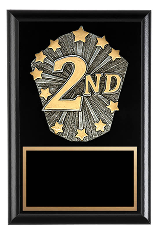 Cosmos Series Second Place 5
