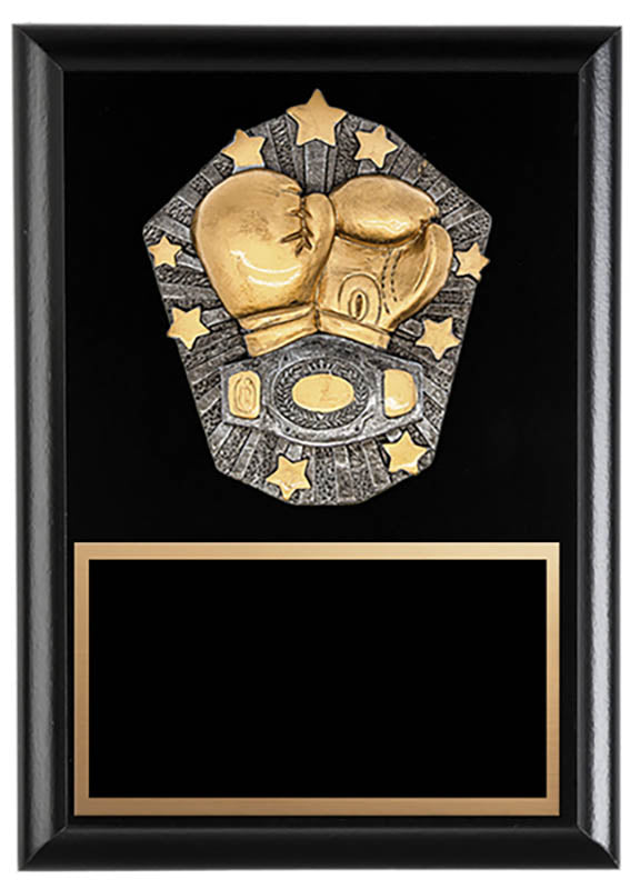 Cosmos Series Boxing 6