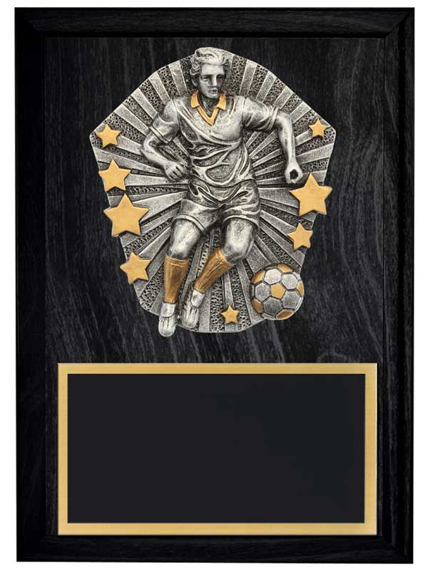 Cosmos Series Male Soccer 6