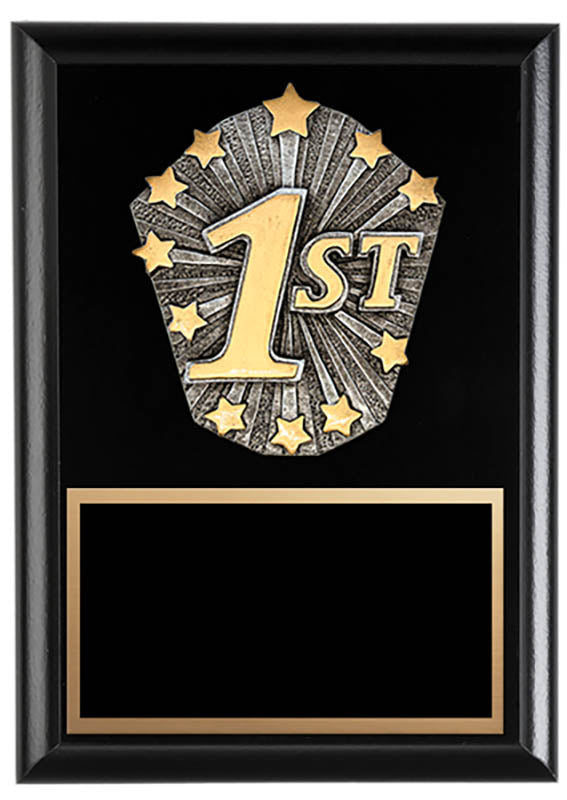 Cosmos Series First Place 6