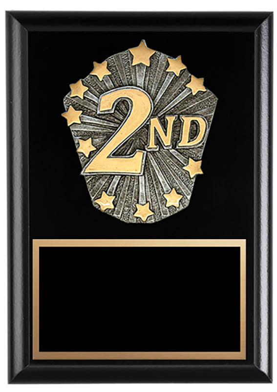 Cosmos Series Second Place 6