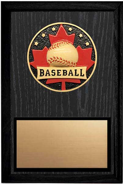 Baseball Patriot Plaque 5