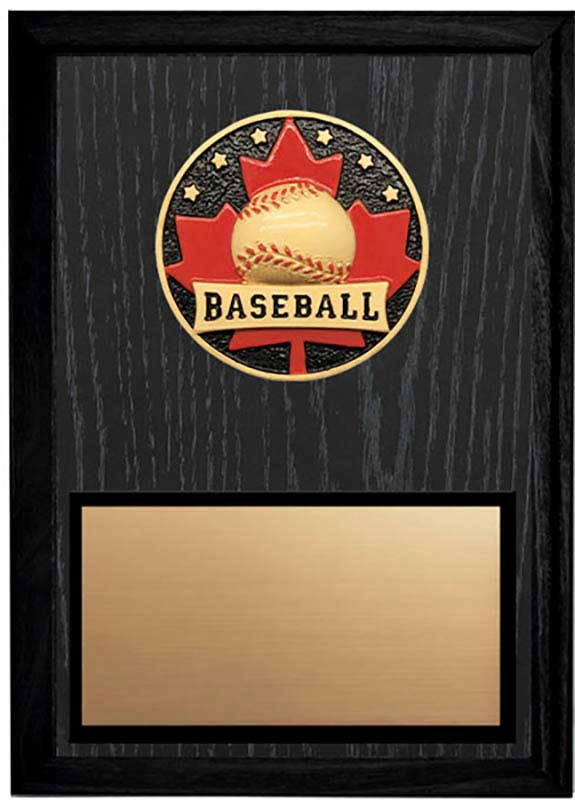 Baseball Patriot Plaque 5