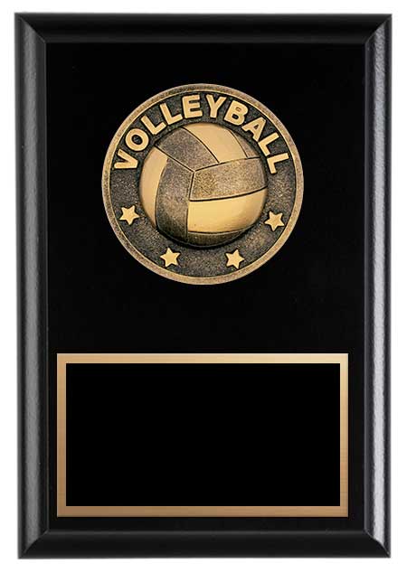 Apex Series Volleyball 6