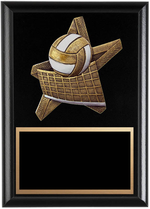 ProStar Series Volleyball Plaque, 6