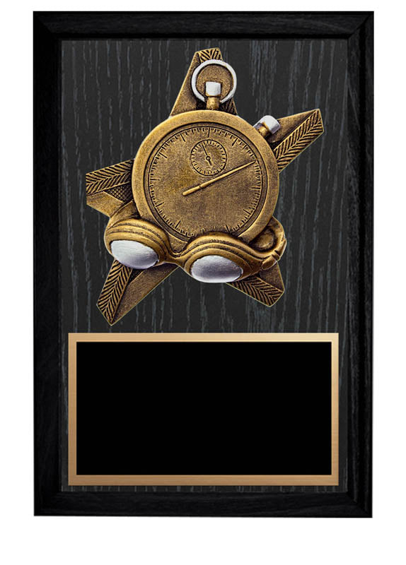 ProStar Series Swimming Plaque, 5