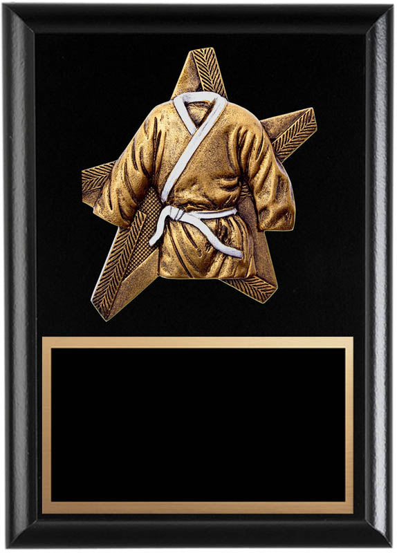 ProStar Series Martial Arts Plaque, 6