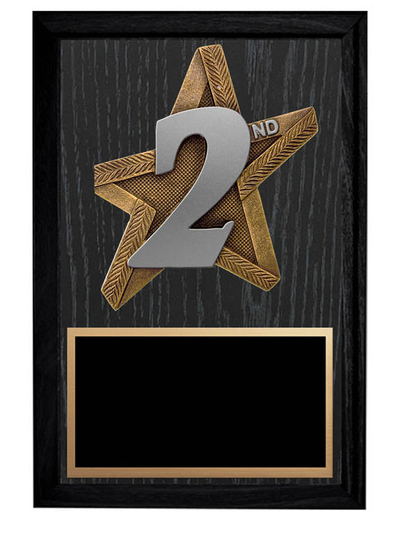 ProStar Series 2nd Place Plaque, 5