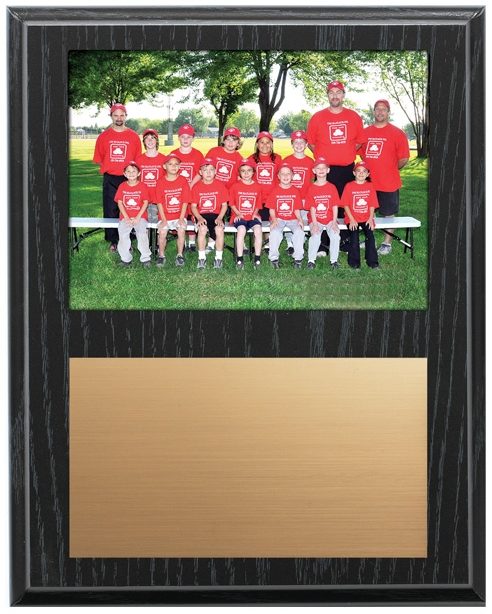 Plaque Slide IN Photo OAK 9x12 436gs BKO