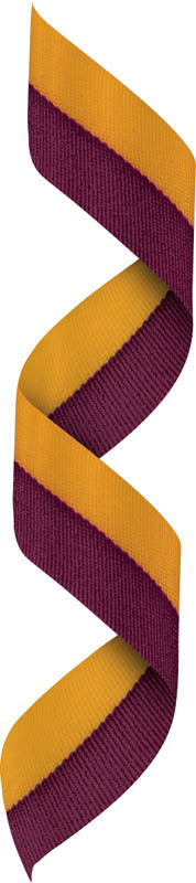 Maroon/Gold Neck Ribbon w Clip – main view