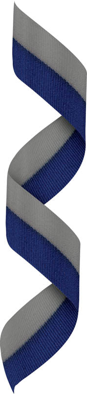Blue/Gray Neck Ribbon w Clip – main view