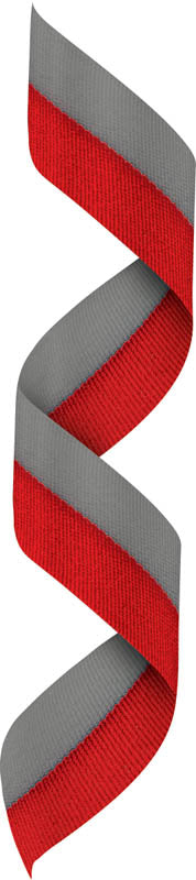 Red/Gray Neck Ribbon w Clip – main view