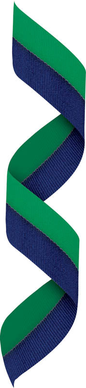 Blue/Green Neck Ribbon w Clip – main view