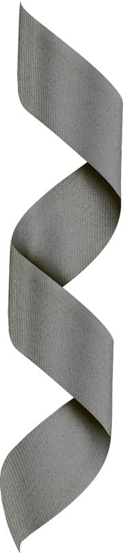 Gray Neck Ribbon w Clip – main view