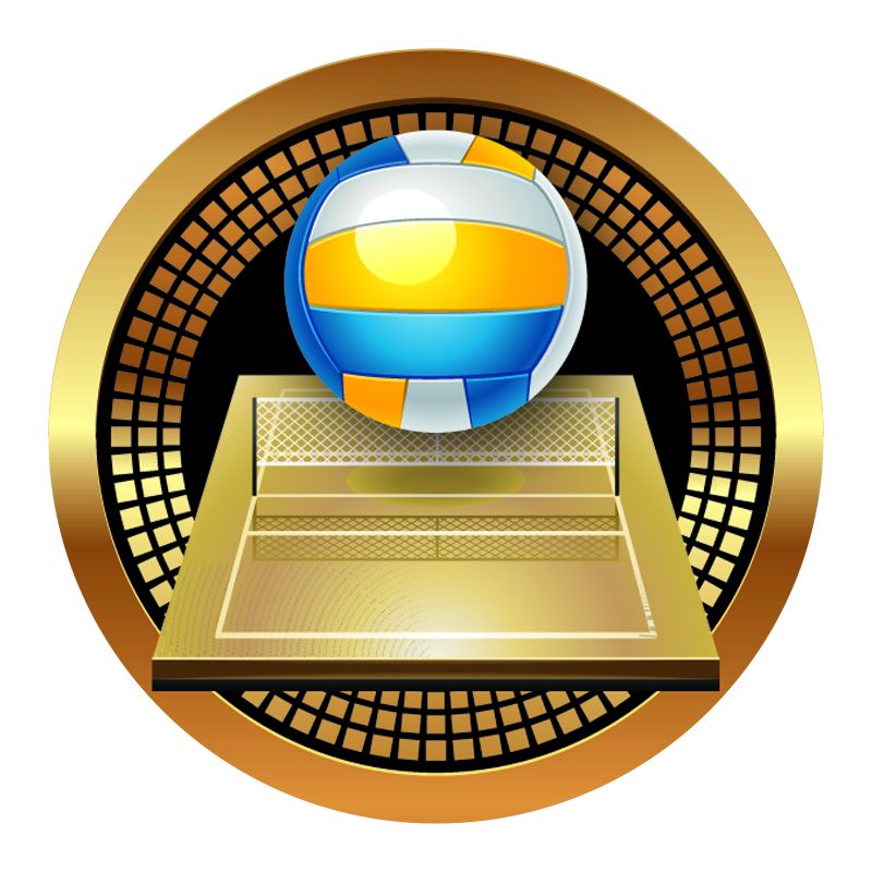 Podium Series Gold Volleyball Trophy – 8.5