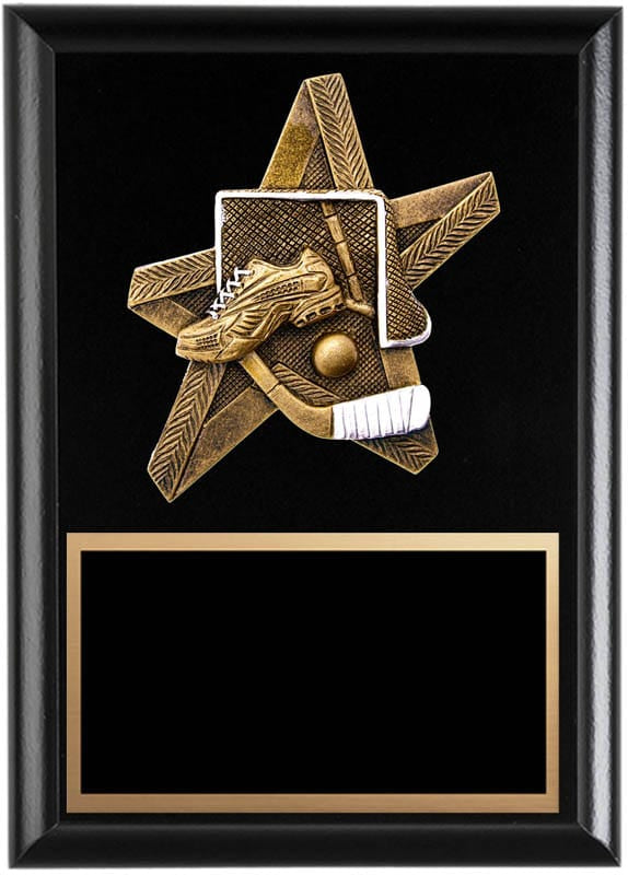ProStar Series Ball Hockey Plaque, 6
