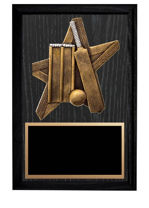 ProStar Series Cricket Plaque, 5