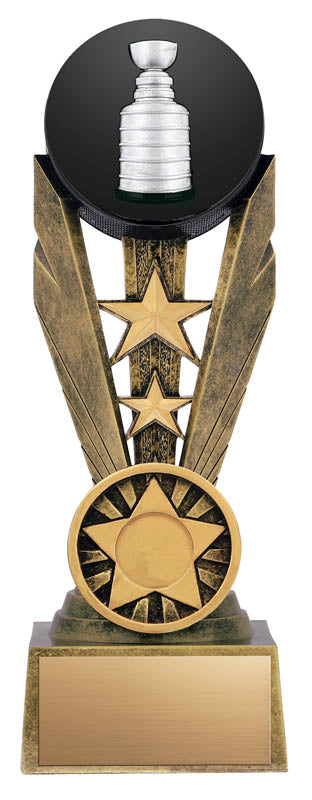 Hockey Award
