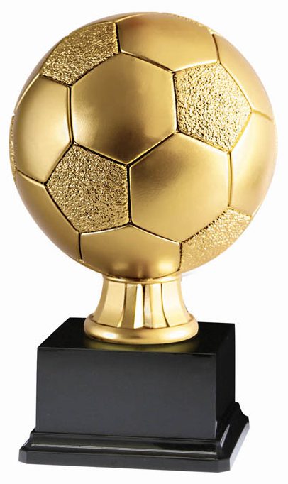 Soccer Award