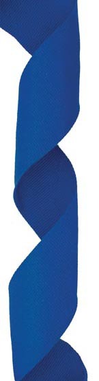 Blue Neck Ribbon w Clip, 1.5