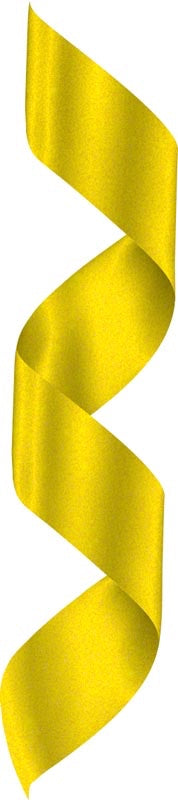Glitter Gold Neck Ribbon w Clip – main view