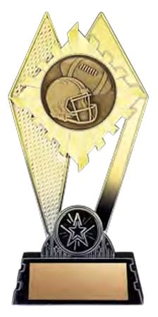 Citadel Gold - Football - 7 in