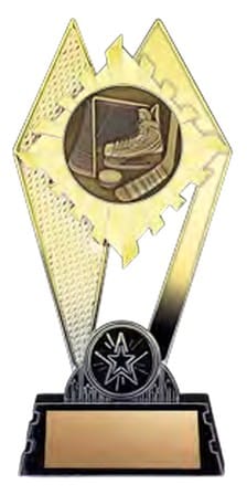 Citadel Gold - Hockey - 7 in