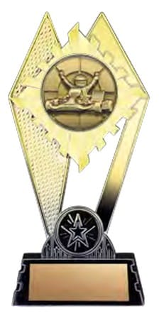 Citadel Gold - Go Kart - 7 in