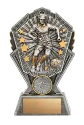 Cosmos Soccer Male Award