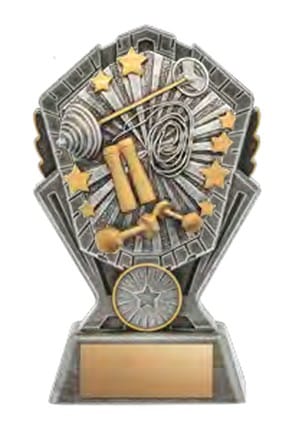 Cosmos Fitness Award