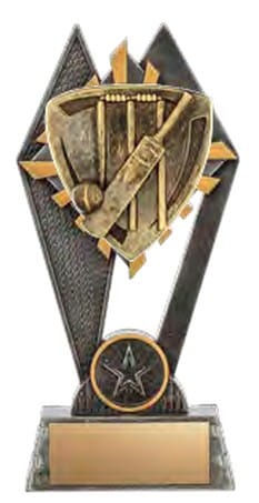 Pinnacle - Cricket - 7 in