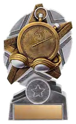 ProStar Swimming Award