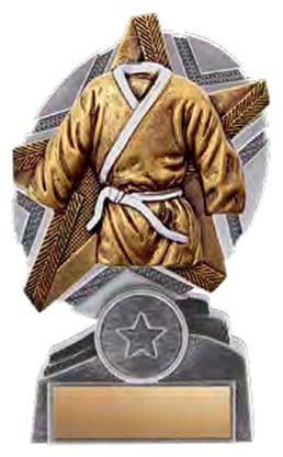 ProStar Martial Arts Award