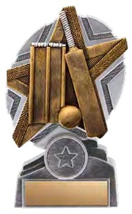 ProStar Cricket Award