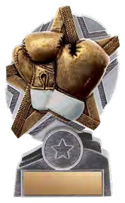 ProStar Boxing Award
